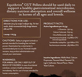 Equithrive Horse Gut Pellets with Probiotics, Psyllium Husk Powder, Sodium Bicarbonate and Omega 3 Fatty Acids, Digestive Support Supplement, 3.3 lbs