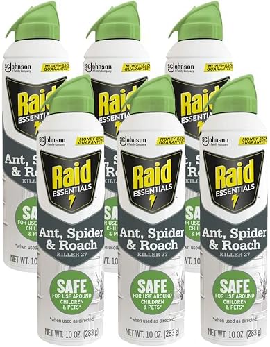 Raid Essentials Ant Spider, and Roach Killer Aerosol Spray, Child & Pet Safe, Kills Insects Quickly, 10 Ounce, 6 Pack (6), 331877