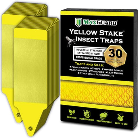 MAXGUARD (30 Pack) Yellow Stake Sticky Insect/Bug Traps - Catch and Kill Fungus Gnats, Whiteflies, Mosquitos, Aphids, Leaf Miners, Flying Insect Catcher Glue Trappers for Indoor or Outdoor