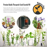 Natures-Star 16oz - Bulk Size Lavender Essential Oil (16 Ounce Bottle) Therapeutic Grade Essential Oil - 16 Fl Oz