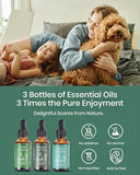 VTS Essential Oils Set - Peppermint Oil, Eucalyptus Oil, Tea Tree Oil with Glass Dropper for Home Diffuser, Aromatherapy, Massage, Skin & Hair Care, Topical Uses, 1 Fl Oz (Pack of 3)