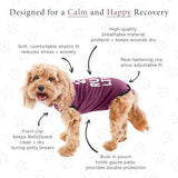 BellyGuard - Dog Recovery Suit, Post Surgery Dog Onesie for Male and Female Dogs, Comfortable Cone Alternative for Large and Small Dogs, Soft Cotton Covers Wound, Stitches. Patented Easy Potty System.