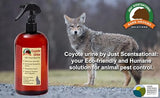 Just Scentsational RS-16 Coyote Urine for Gardens, Hunters, and Trappers, 16 oz with Trigger Sprayer