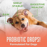 MaryRuth Organics Dog Probiotic, USDA Organic Probiotic for Dogs, Dog Probiotic for Digestive Support, Supplement for Gut Health & Beneficial Bacteria, Vegan, Non-GMO, Gluten Free, 4 Fl Oz