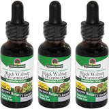 Nature's Answer Black Walnut and Wormwood (Value Pack of 3)