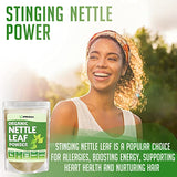 XPRS Nutra Organic Nettle Leaf Powder - Premium USDA Organic Stinging Nettle Powder for Hair and Nails - Vegan Friendly Energy Boosting Organic Stinging Nettle Leaf (8 oz)