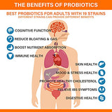 Prebiotic & Probiotic for Women and Men - Probiotics 60 Billion, Acidophilus Probiotic Supplement for Gut Digestive, Immune, Feminine Health, Shelf Stable Soy & Dairy Free | 120 Vegan Caps