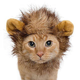 Pet Krewe Cat Lion Mane Halloween Costume – Fits Neck Size 8”-14 - Lion Costume for Small Cats and Kittens – Ideal for Halloween, Cat Birthday, Cat Cosplay, Cat Outfits, Pet Clothes