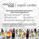 Hemlock Park Crackling Wood Wick Candle Handcrafted with Natural Coconut Wax and Essential Oils (Palo Santo, Standard 8 oz)