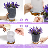 Essential Oil Diffuser, Lavender Plant Potted Aromatherapy Diffuser, 150ml Cold Mist humidifier, Super Quiet and Waterless auto Shut Off, ultrasonic Oil Diffuser for Home Office