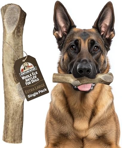 Heartland Elk Antlers for Dogs - Grade A, Naturally Shed Antlers | Dog Bones for Aggressive Chewers & Teething Puppies | All Breeds Chew Toy USA Made & Veteran Owned (Whole Elk: 8+", X-Large, 1-Pack)