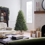 National Tree Company Artificial Full Christmas Tree, Green, Dunhill Fir, Includes Stand, 6 Feet