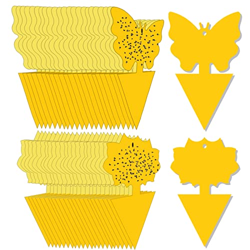 48 Pack Gnat Traps for House Indoor,Fruit Fly Traps for Indoors,Fruit Fly Trap,Yellow Sticky Traps for Gnats,Sticky Traps,Yellow Sticky Traps,Fruit Fly Traps,Sticky Gnat Trap Indoor Houseplant