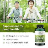 Swanson Olive Leaf Extract Capsules with 20% Oleuropein - Provides Immune Support, Promotes Cardiovascular System Health, and Supports Healthy Blood Pressure - (120 Capsules, 500mg Each)