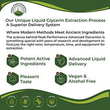 USDA Organic Licorice Root Extract Liquid Drops Supplement. Vegan Tincture for Digestion + Respiratory Health. Extracto de Regaliz Root Oil Herb. Zero Sugar, Gluten Free Supplements for Women and Men