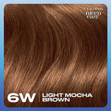Clairol Nice'n Easy Permanent Hair Dye, 6W Light Mocha Brown Hair Color, Pack of 3