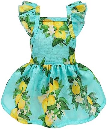 Fitwarm Lemon Dog Dress, Dog Clothes for Small Dogs Girl, Pet Cat Apparel, Teal Blue, Yellow, Green, XXS