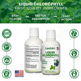 Liquid Chlorophyll Mint Flavored – Cold Extracted from Wild Non-GMO Alfalfa - Alkaline - Natural Body Deodorant – Antioxidant - 16 fl oz