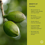 Banyan Botanicals Haritaki Powder - Certified Organic, 1/2 Pound – Terminalia chebula – for Detoxification & Rejuvenation* – Organic, Vegan, Non-GMO, Gluten Free, Certified Fair for Life Fair Trade