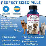 Healthy Weight Supplement for Cats and Dogs - Helps Overweight Pets Control Obesity Through Healthy Fat Burning, Improved Metabolism and Gentle Suppression of Appetite and Cravings Pills