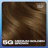 Clairol Nice'n Easy Permanent Hair Dye, 5G Medium Golden Brown Hair Color, Pack of 3