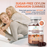 Ceylon Cinnamon Gummies – 2000 mg Per Serving, Vegan & Gluten-Free (60 Chews)