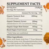 Liposomal Turmeric Curcumin Supplement 2000mg, 95% Standardized Curcuminoid Extract & Organic Root Powder with Piperine Black Pepper Fruit (15mg), 60 softgels, Non-GMO