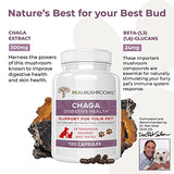 Chaga Pet Support Mushroom Supplement (120ct) Cat & Dog Vitamins for Immune Defense & Digestion Support - Vet Approved Mushroom Dog Vitamins and Supplements, Grain-Free, Gluten-Free