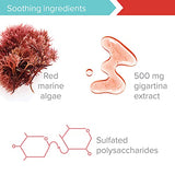 Vibrant Health, Gigartina Red Marine Algae, Plant-Based Immune Support, 60 Capsules