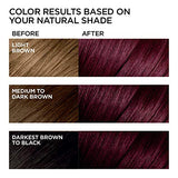 L'Oreal Paris Feria Multi-Faceted Shimmering Permanent Hair Color Hair Dye, V38 Violet Noir (Pack of 2)