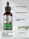 Horbäach Reishi Mushroom Supplement | 2 fl oz Liquid Extract | Ganoderma Lucidum Tincture | Vegetarian, Non-GMO, Gluten Free