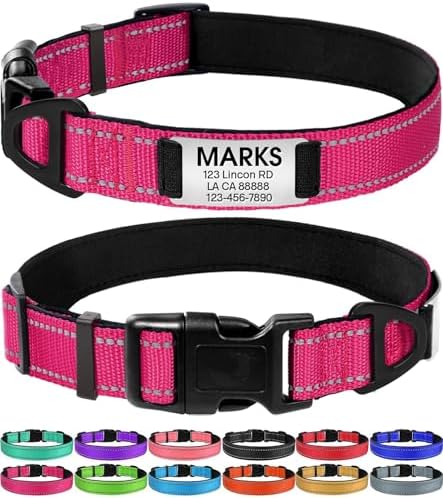 Joytale Personalized Dog Collars, Reflective Nylon Collar with Engraved Name Plate, Customized for Medium Dogs, Hotpink, M