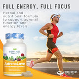 RidgeCrest Herbals Adrenal Fatigue Fighter, Stress and Energy Support Supplement with Ashwagandha, L-Theanine, Ginseng, Schisandra, Taurine, Holy Basil, Adaptogens, B Vitamins (60 Vegan Caps, 30 Serv)