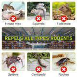 YUEQINGLONG Mouse Repellent, Peppermint to Repel Mice and Rats,Agreeable Smell and Environmentally Friendly Rodent Repellent for House Indoor, Car Engines, Camper and Home