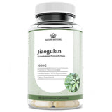 Jiaogulan Extract Supplement, Our Gynostemma Pentaphyllum is Standardized to 98 Percent Gypenosides, Natural AMPK Activator, Non GMO, Gluten Free, 90 Gynostemma Capsules, Vegan