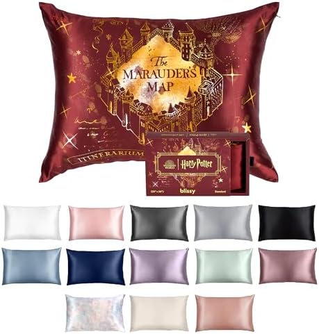 Blissy Silk Pillowcase - 100% Pure Mulberry Silk - 22 Momme 6A High-Grade Fibers - Silk Pillow Cover for Hair & Skin - Regular, Queen & King with Hidden Zipper (Standard, Harry Potter Marauder's Map)