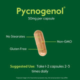 BESTVITE Pycnogenol 50mg (120 Capsules) (60x2) - French Maritime Pine Bark Extract - No Stearates - Gluten Free - Non GMO