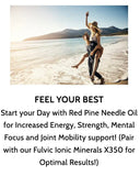 Optimally Organic Wild Crafted Red Pine Needle Oil - Daily Drops for Extreme Immune Support - BioActive Live Extract - 1290 Drops - 3 to 7 Drops Per Dose - Vegan Microbiome Cleanse - Longevity Oil