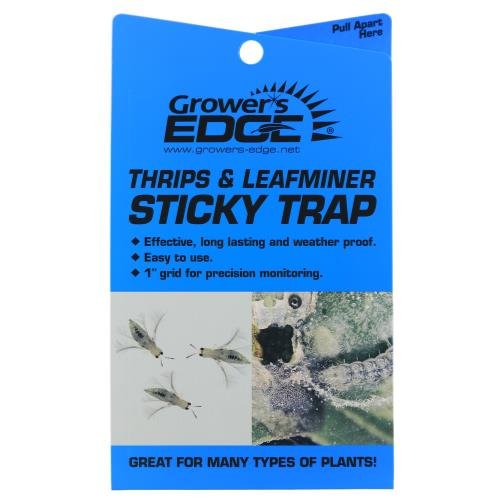 Grower's Edge 704194 Sticky Thrip Leafminer Trap (5 Pack) – kate