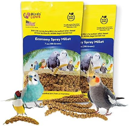 Birds LOVE Economy & Thin Special Spray Millet | GMO-Free (No Stems Only Edible Tops) for Birds Cockatiel, Lovebird, Parakeet, Finch, Canary All Parrots Healthy Treat 7 oz -Pack of 2