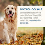 Grizzly Pollock Oil Dog (16 oz)