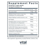 Vital Nutrients ViraCon | Herbal Combination to Support The Immune System* | with Zinc, Elderberry, and Berberine | Gluten, Dairy and Soy Free | 60 Capsules