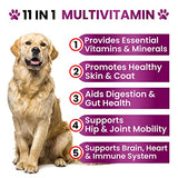 Dog Multivitamin Chewable with Glucosamine - Dog Vitamins and Supplements, Senior & Puppy Multivitamin for Dogs - Pet Chondroitin Hip and Joint Support Health, Immune Booster, Skin, Heart, Probiotics