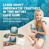 Genius Games Ecosystem: Coral Reef - A Mensa Recommended Family Card Game About Aquatic Animals, Their Habitats & Food Chain | A Light Educational Marine Biology Board Game for Kids and Families