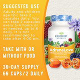 RidgeCrest Herbals Adrenal Fatigue Fighter, Stress and Energy Support Supplement with Ashwagandha, L-Theanine, Ginseng, Schisandra, Taurine, Holy Basil, Adaptogens, B Vitamins (60 Vegan Caps, 30 Serv)