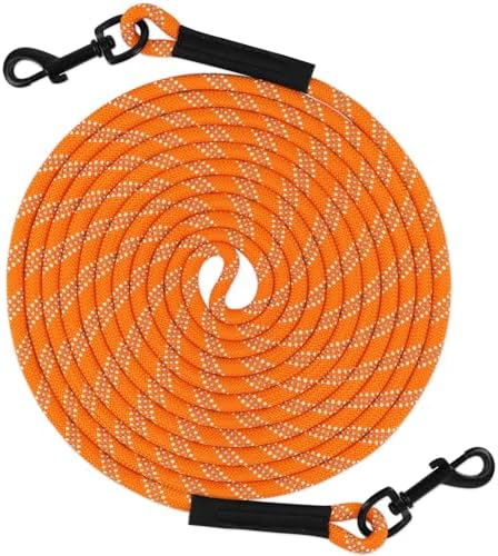 Taglory Dog Tie Out, Long Dog Leash 15FT 30FT 50FT 66FT, Recall Training Leash with 2 Swivel Hooks for Large Medium Small Breeds Walking, Camping, or Backyard, Orange 66FT