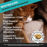 Pet Honesty Calming Chews for Cats - Cat Anxiety Relief + Helps Reduce Stress - Behavioral Support & Promotes Relaxation for Travel, Boarding, Vet Visits, Separation Anxiety - Chicken (30-Day Supply)