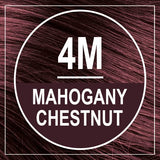 Naturtint Permanent Hair Color 4M Mahogany Chestnut (Pack of 6), Ammonia Free, Vegan, Cruelty Free, up to 100% Gray Coverage, Long Lasting Results