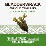 Nature's Way Premium Herbal Bladderwrack Whole Thallus 580 mg, 100 Count (Pack of 2)