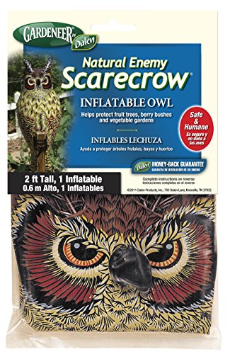 Dalen Inflatable Fake Owl Decoy to Scare Birds Away - Efficient Bird and Pest Deterrent – Safely Deters Birds – 2 feet Tall